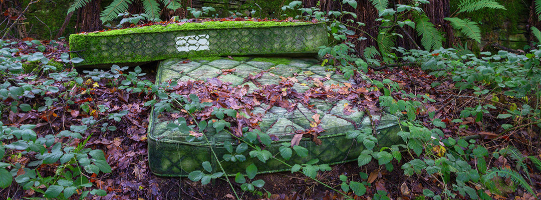 Old Mattresses