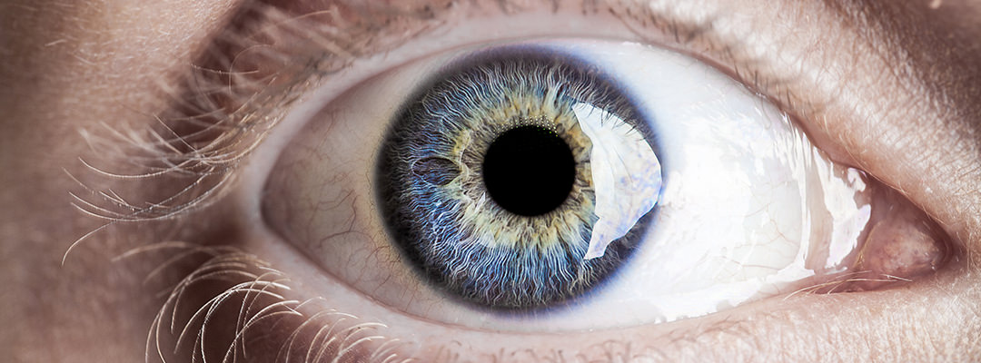 A close up of an eye